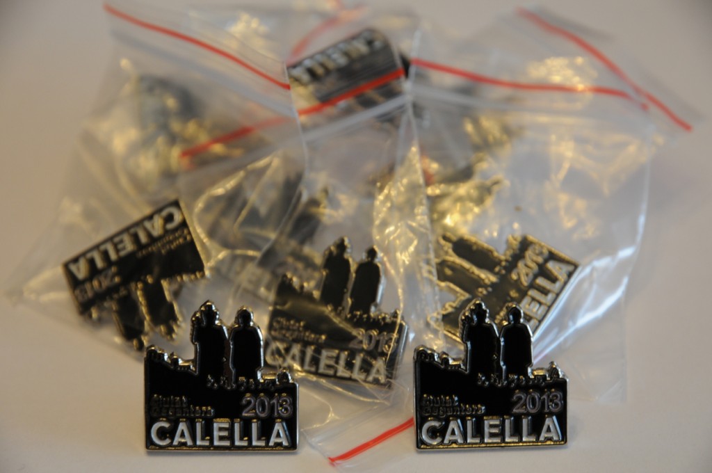 PinsCG2013_re